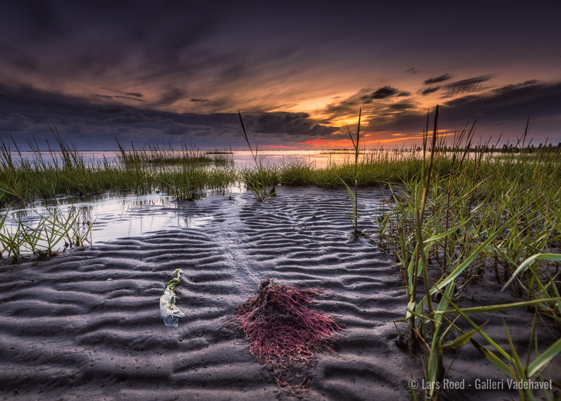 Galleri Vadehavet Ribe v. Lars Roed