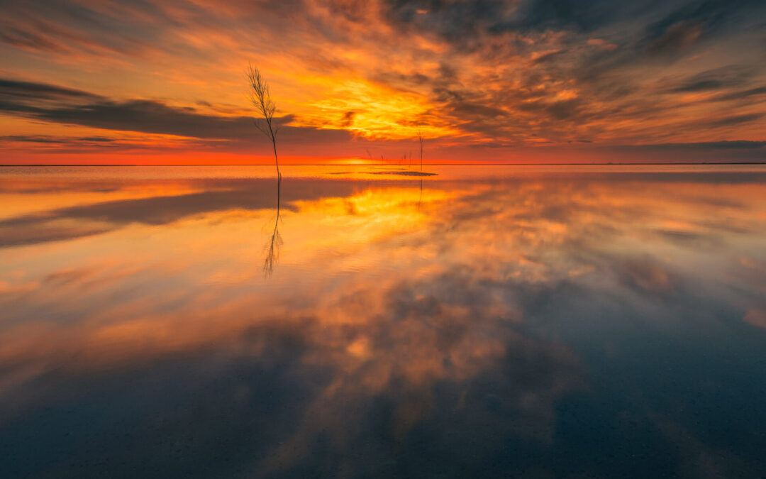 Vadehavsfotograf – Fotokunst fra Danmark