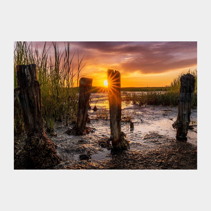 Lyset ved faskinen Fotokunst fra Vadehavet