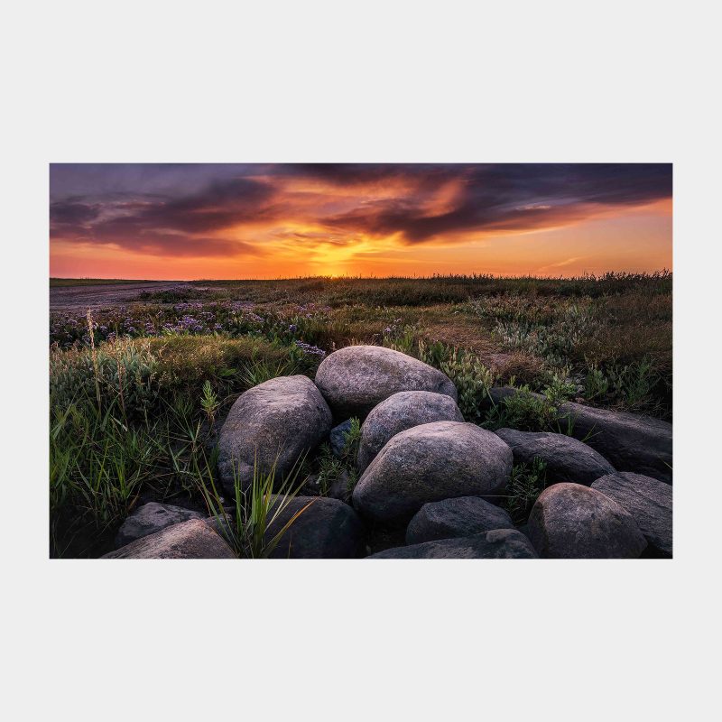 Tæt ved Låningsvejen Fotokunst fra Vadehavet