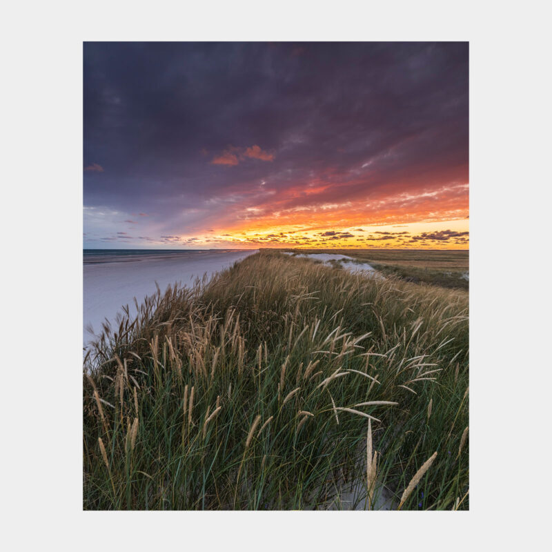 Solnedgang ved Skallingen - Galleri Vadehavet