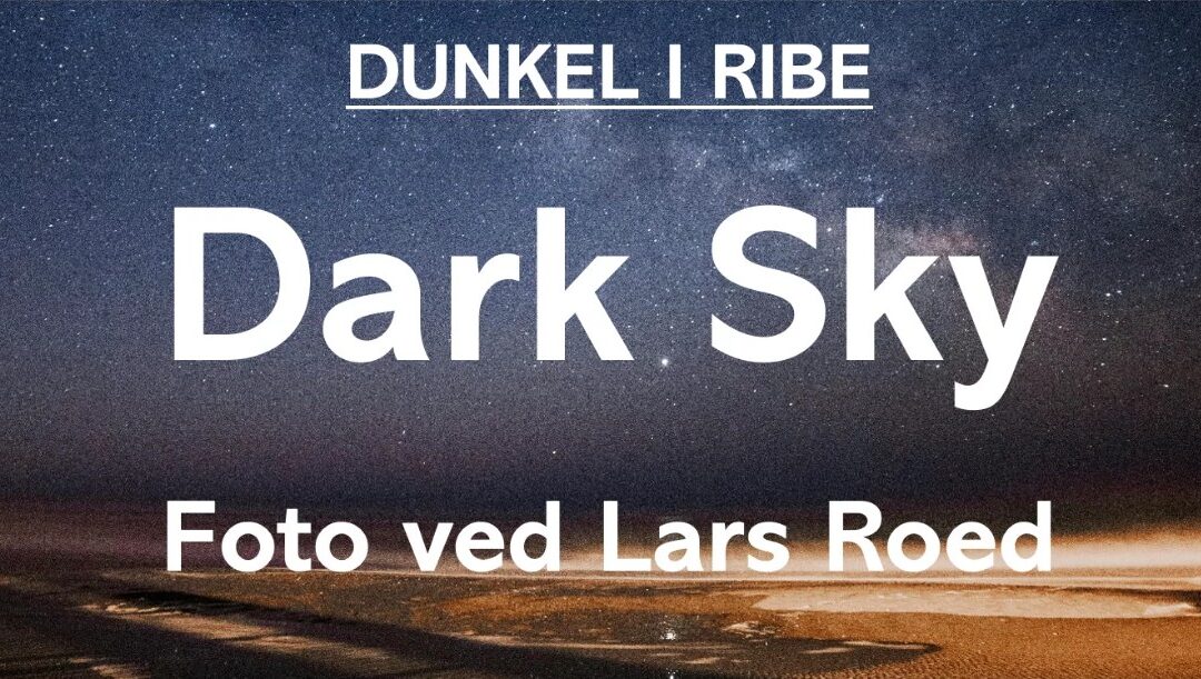 Dark Sky som digital udstilling i Ribe under DUNKEL